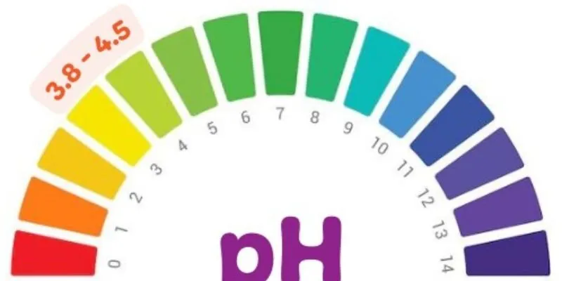 Những điều phụ nữ cần biết về độ pH âm đạo