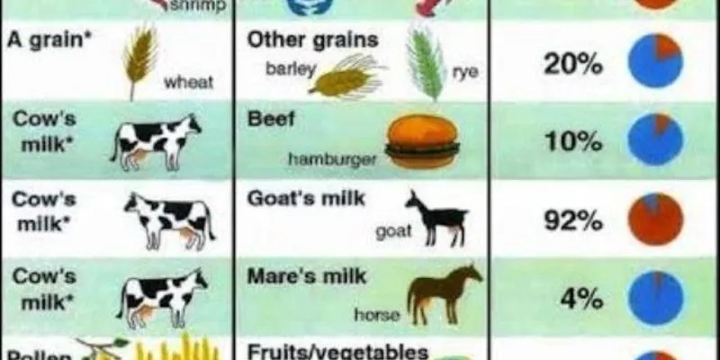 Dị ứng chéo – cách đối phó?